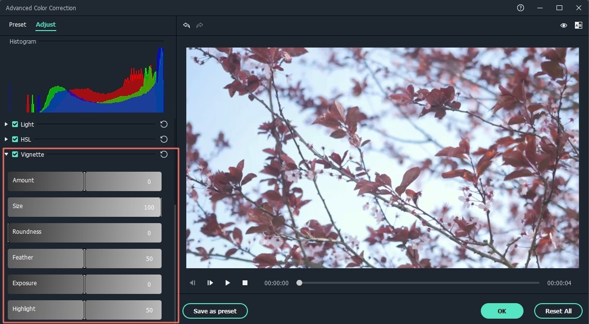 set a personalized vignette effect