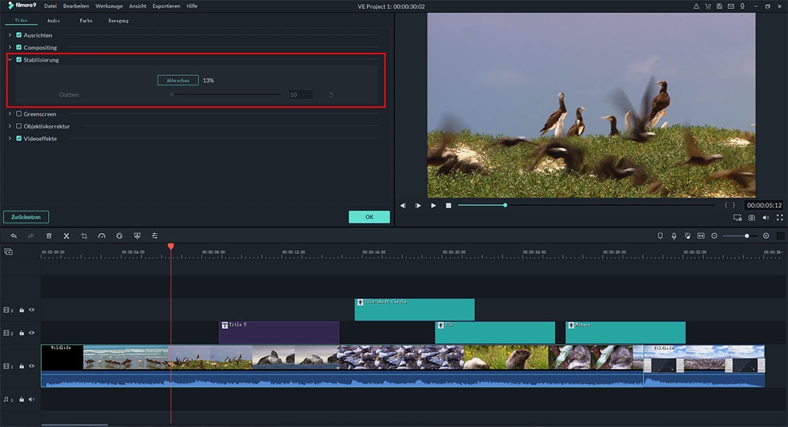 Video stabilisieren