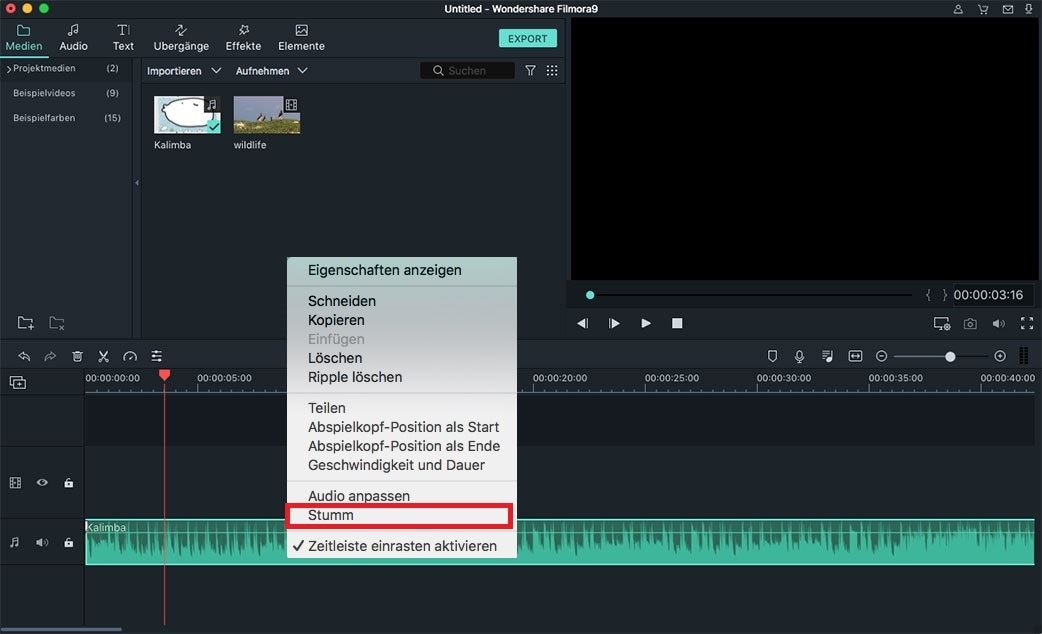 video stummschalten