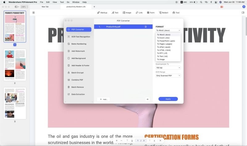 pdf to word