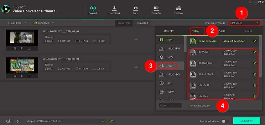 output as mkv on dvd to mkv converter
